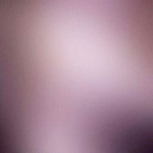 Meet your Posher, Bella